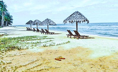 生命里总会有阳光