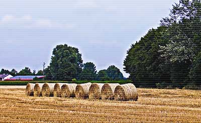 女人一生必读的锦句