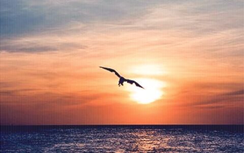 成就人生的十只魔戒