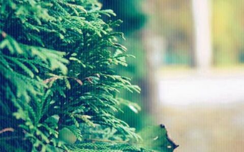 人一生最后悔五件事