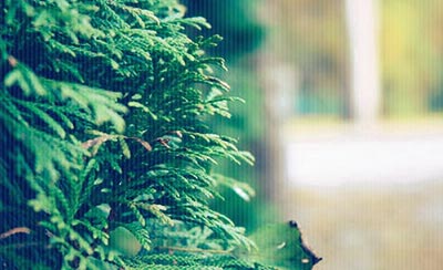 人一生最后悔五件事