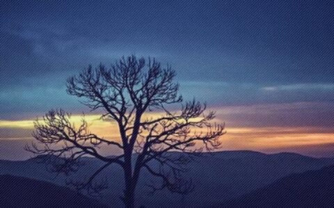 删除昨日的烦恼