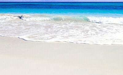 贾平凹：每个生命都有自己的光芒