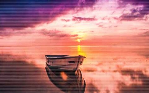 关于人生感悟的文章