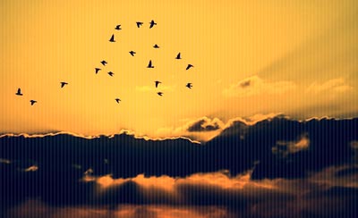 恬恬淡淡也是一种精彩