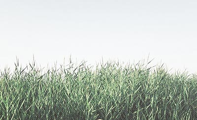 超越自己超越梦想