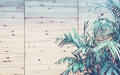 婚姻失败原因种种