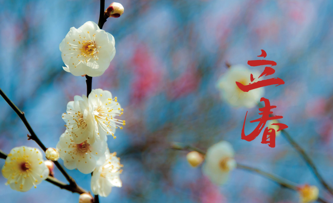 关于立春的古诗句（二十四节气立春诗词）