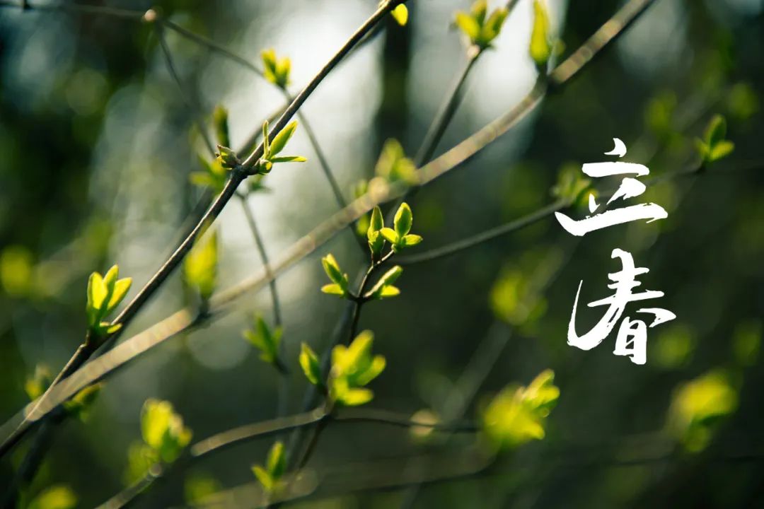 关于立春的古诗句（二十四节气立春诗词）