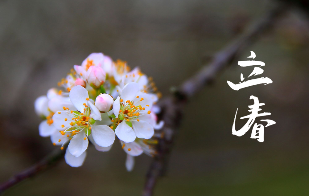 关于立春的古诗句（二十四节气立春诗词）