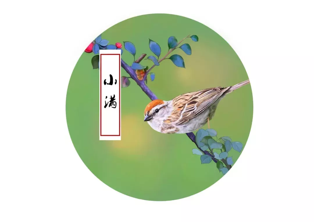 小满诗句古诗大全（小满的寓意和象征）