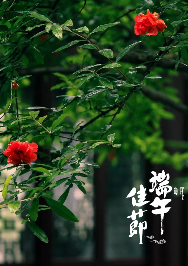 描写端午节的诗句古诗（歌颂端午节的诗句）