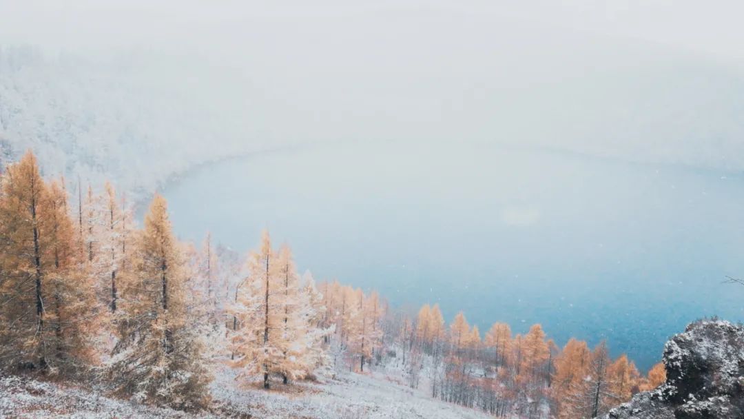 冬雪诗句古诗大全（描写冬雪的诗句古诗）