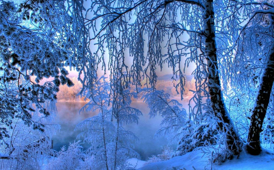 雪景诗句唯美简短（关于雪的优美诗句）