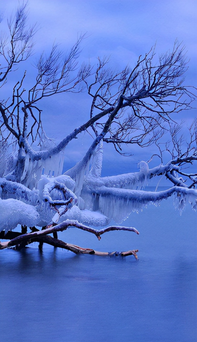 雪景诗句唯美简短（关于雪的优美诗句）