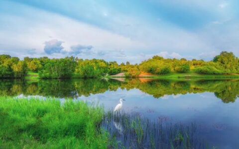 描写春天的诗句古诗（描写初春的优美句子）