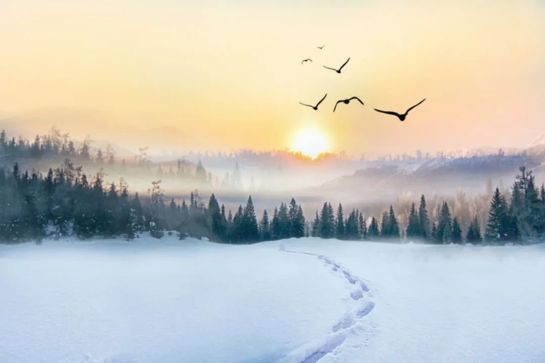 关于冬至的诗句（冬至节诗句经典古诗）