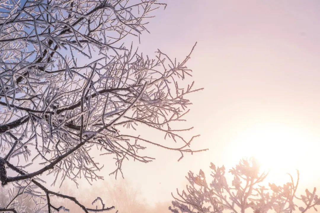 关于冬至的诗句（冬至节诗句经典古诗）