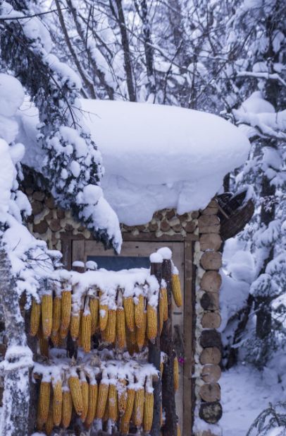 描写大寒节气的诗句名句（24节气大寒的优美诗句）