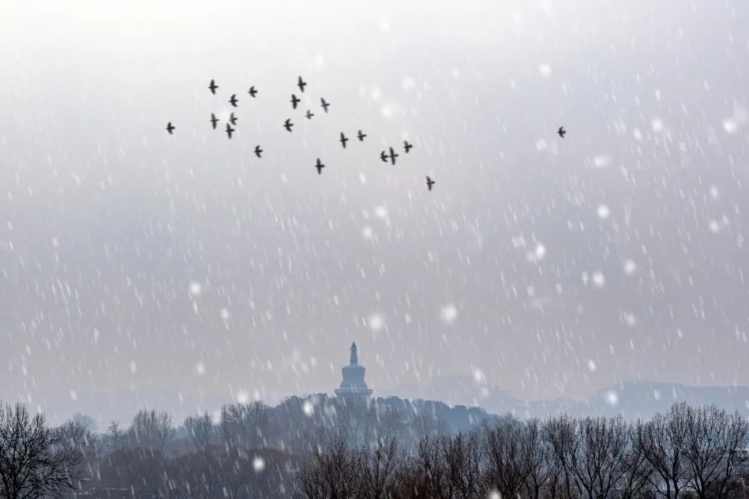 关于冬雪的诗句古诗（赞美冬雪的诗歌）