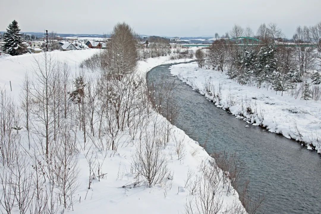 关于冬雪的诗句古诗（赞美冬雪的诗歌）