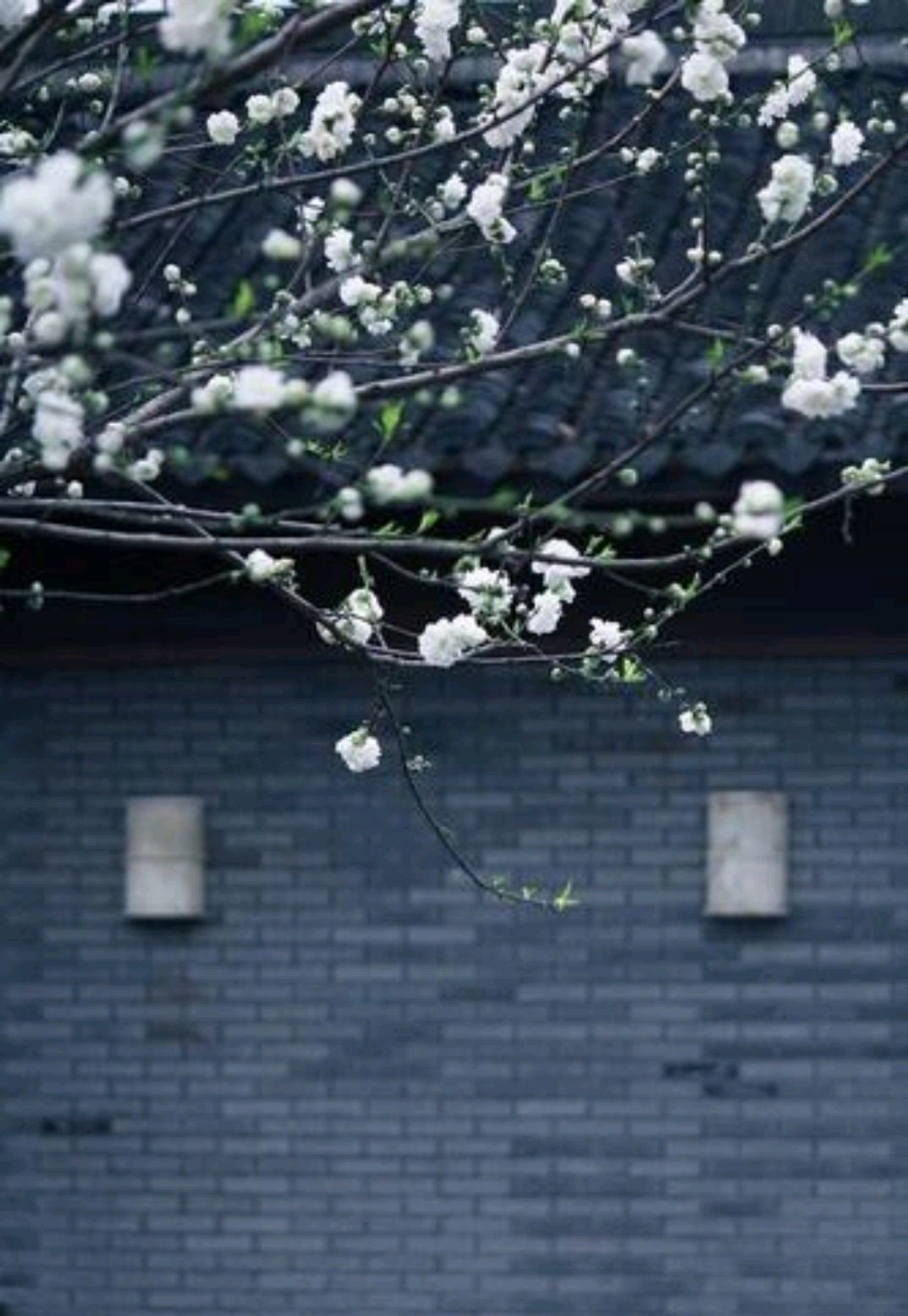 伤感散文诗精选（经典唯美散文短篇伤感）