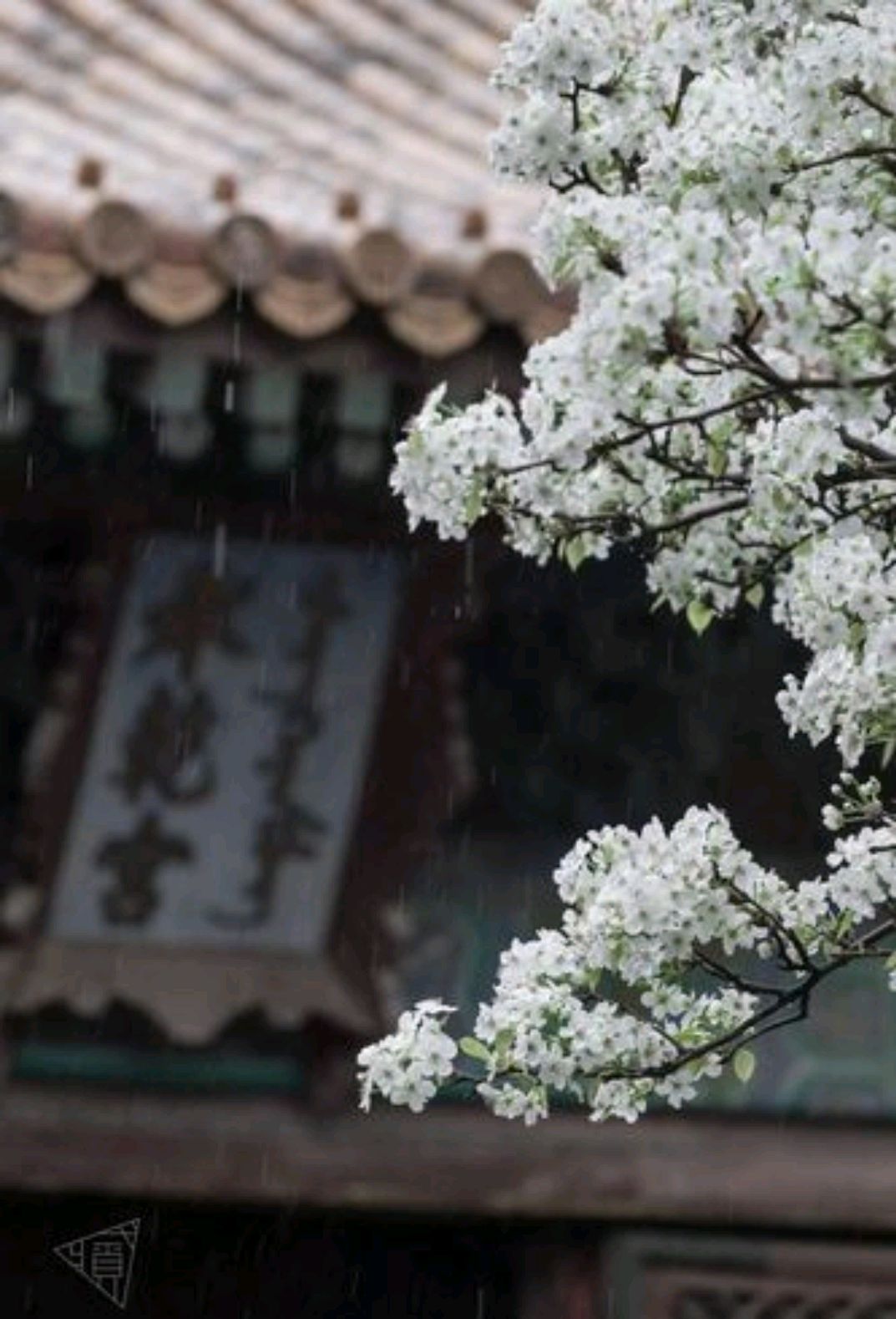 伤感散文诗精选（经典唯美散文短篇伤感）