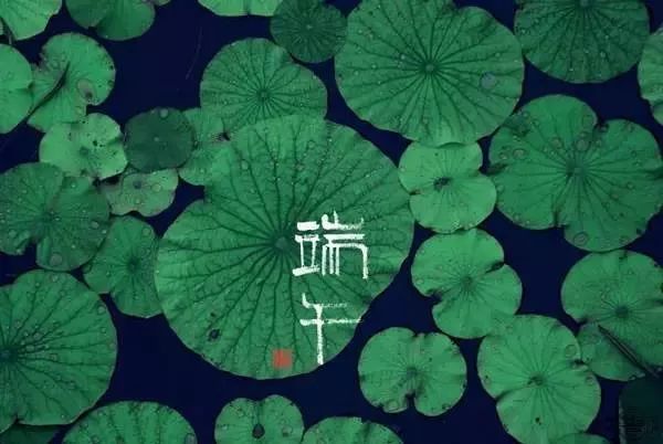 端午节诗词佳句赏析（关于端午节的名言）