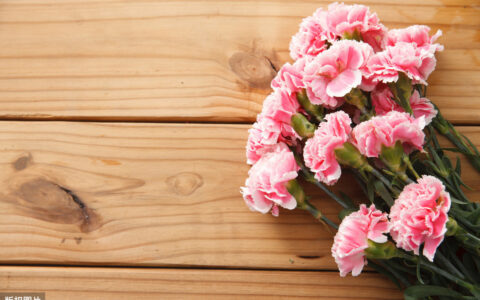 报答母亲的诗句有哪些（感恩母爱最朴实的诗句）