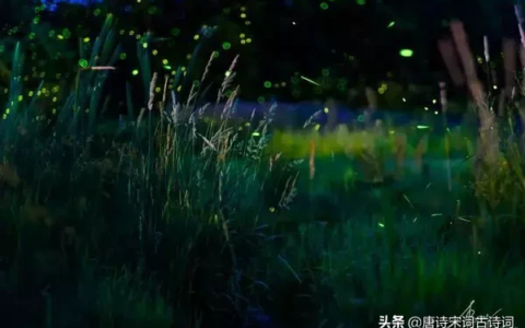 与星星有关的诗句（形容星星的诗句唯美）