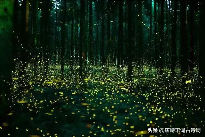 与星星有关的诗句（形容星星的诗句唯美）