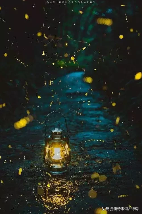 与星星有关的诗句（形容星星的诗句唯美）