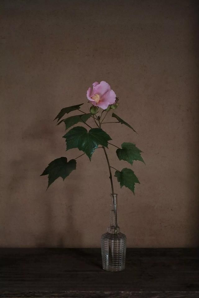 关于爱情的唯美诗句（浪漫到骨子里唯美诗句）