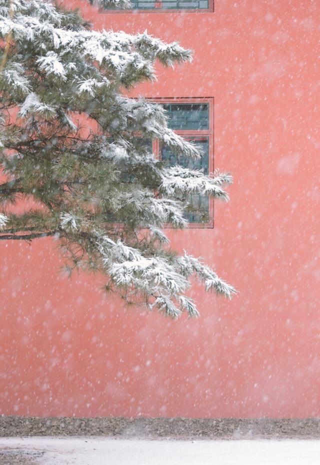 关于爱情的唯美诗句（浪漫到骨子里唯美诗句）