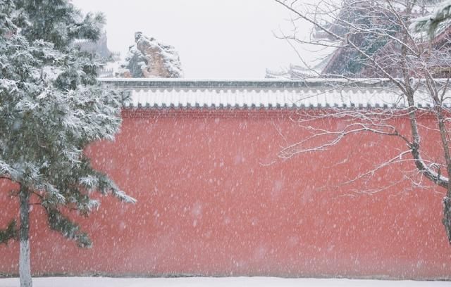 关于爱情的唯美诗句（浪漫到骨子里唯美诗句）