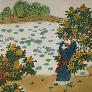 写夏景的诗句有哪些（描写夏天迷人景色的诗句）