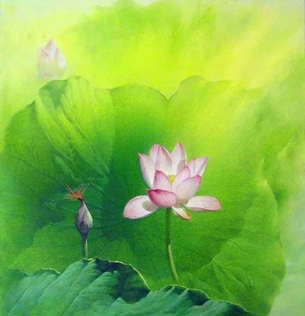 描写夏天荷花的诗句（夏日荷花诗句经典名句）