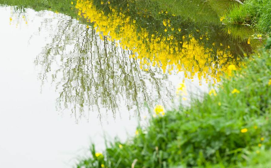 阳春三月的美景诗句（描写阳春三月的唯美句子）