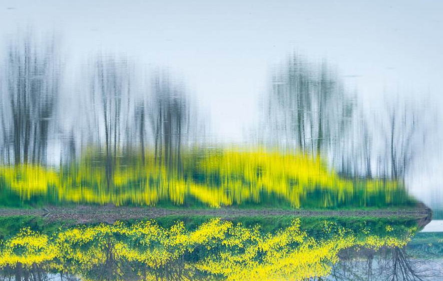 阳春三月的美景诗句（描写阳春三月的唯美句子）