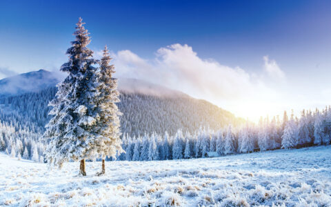 描写冬天的古诗有哪些（关于冬天的古诗大全）