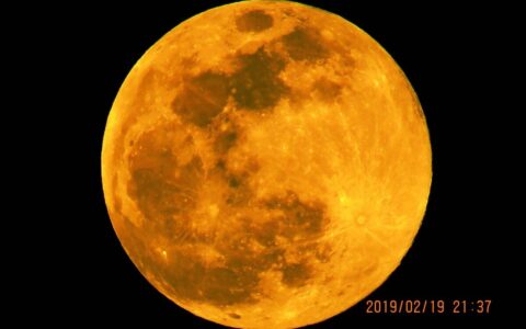 关于中秋的散文名篇（描写中秋节的散文精选）