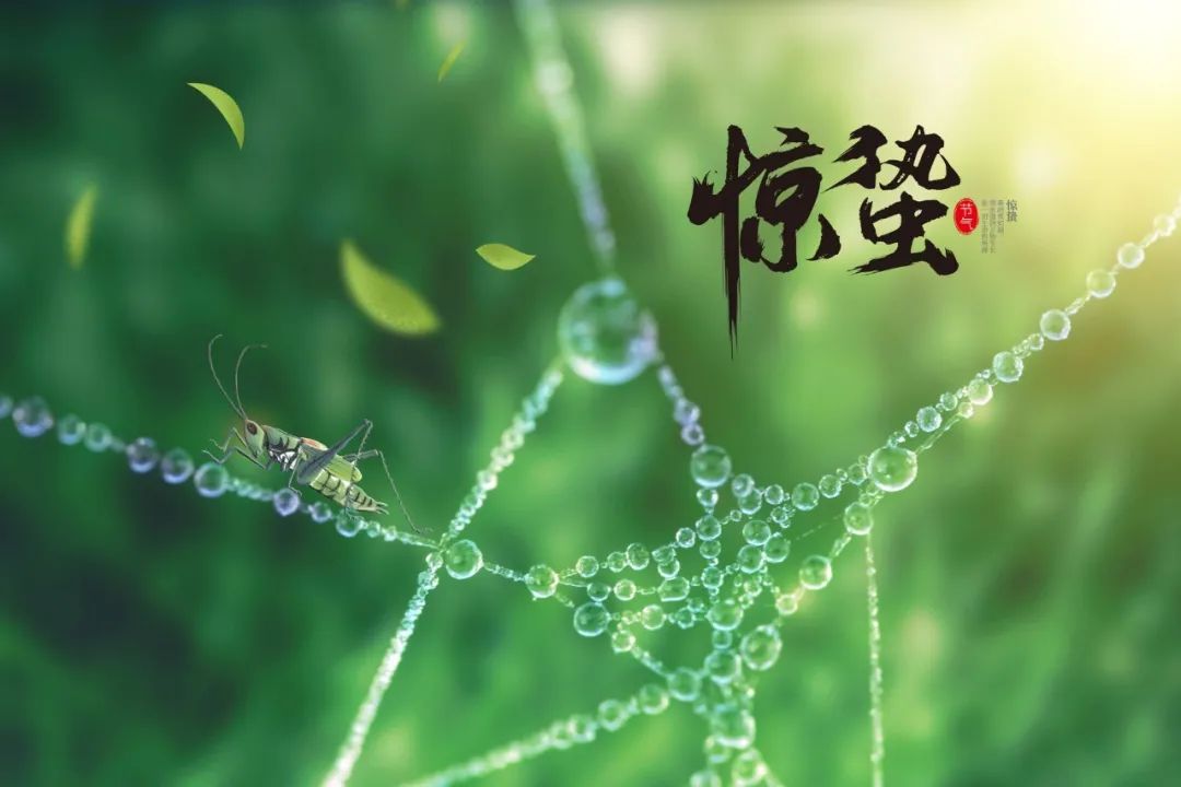 关于惊蛰的古诗大全（描写惊蛰节气的古诗）