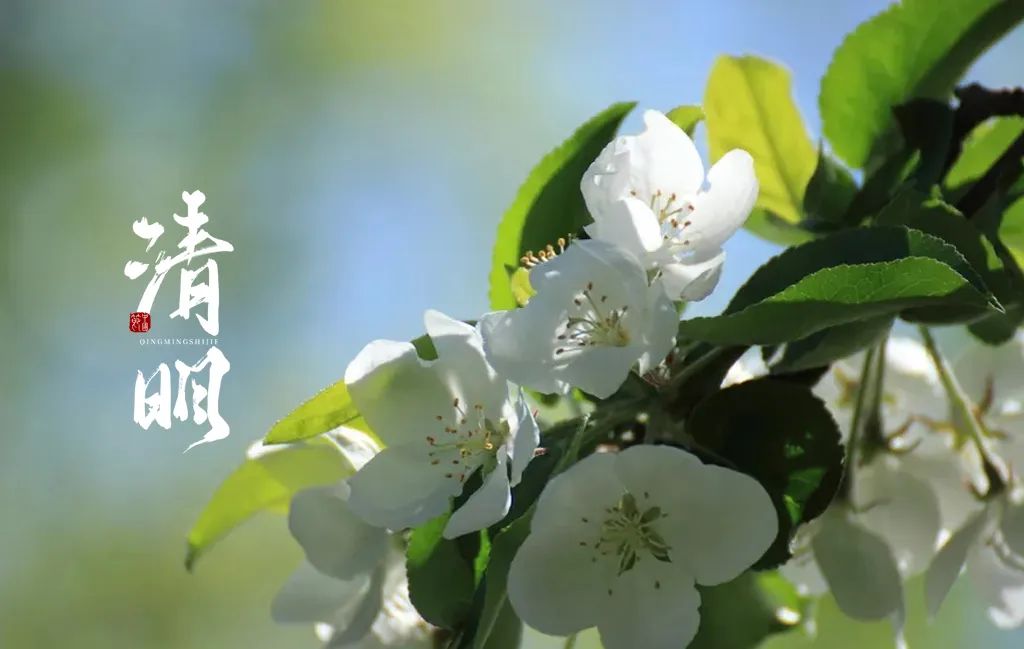 清明节的诗句有哪些（最有名的清明节古诗）