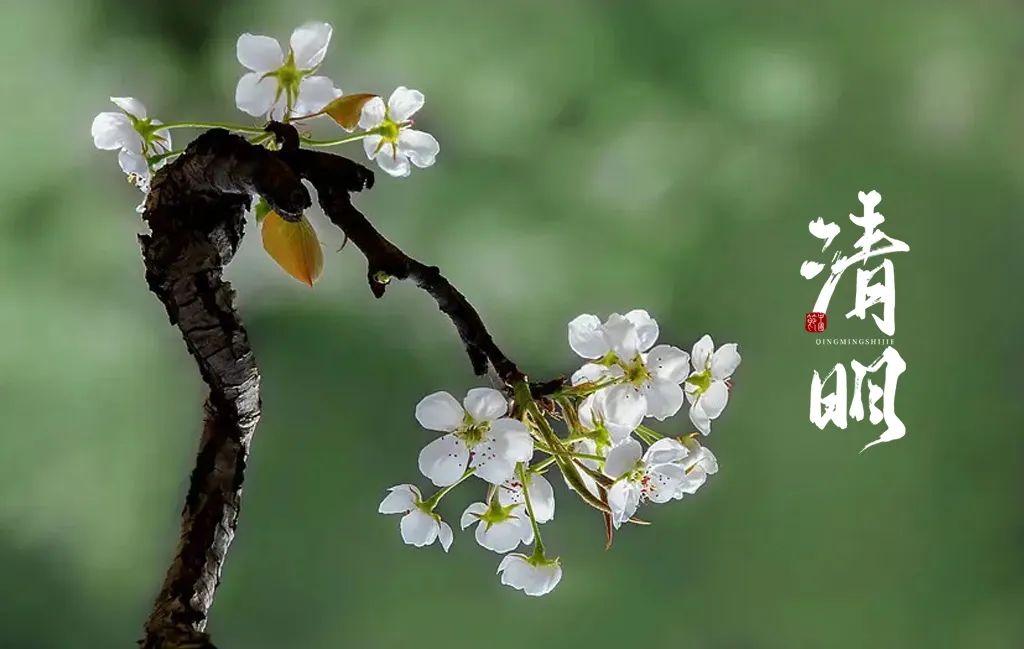 清明节的诗句有哪些（最有名的清明节古诗）