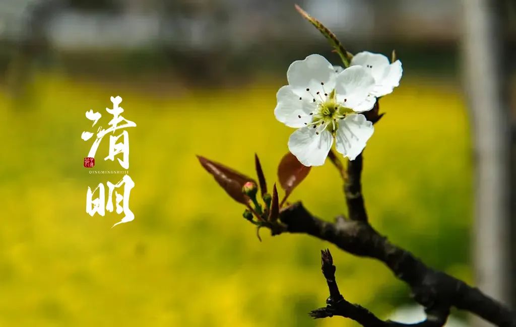 清明节的诗句有哪些（最有名的清明节古诗）