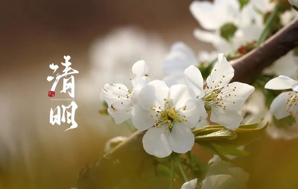 清明节的诗句有哪些（最有名的清明节古诗）