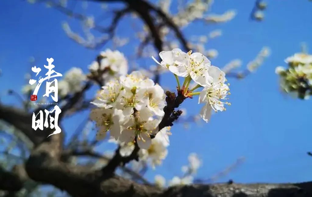 清明节的诗句有哪些（最有名的清明节古诗）