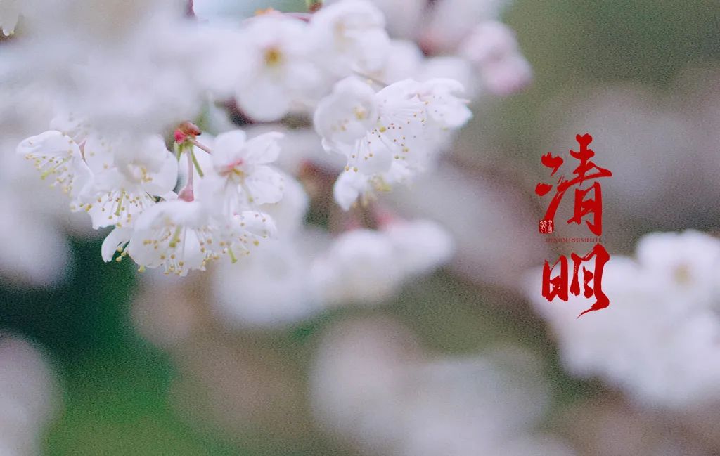 清明节的诗句有哪些（最有名的清明节古诗）