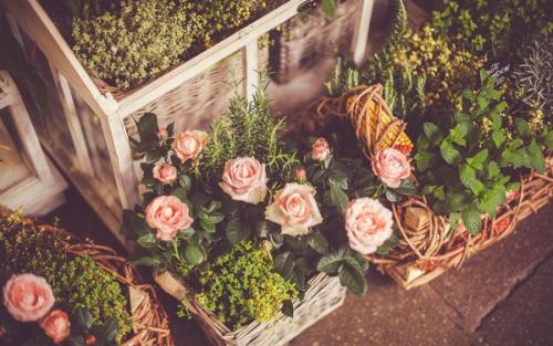 关于冰心的作品有哪些（冰心最著名的作品）