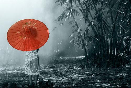 关于冰心的作品有哪些（冰心最著名的作品）